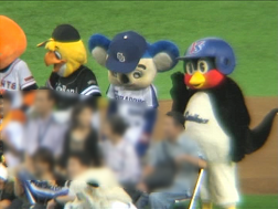 マスコット撮影会41