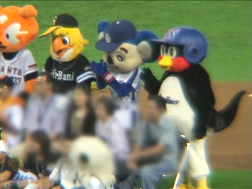 マスコット撮影会42